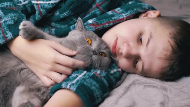 Śpiące Dziecko Przytulające Się Głaskające Puszystym Kotem Leżące Łóżku Sypialni — Wideo stockowe
