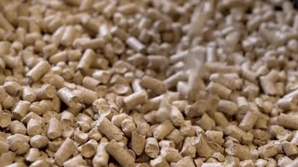 Granules Sciure Bois Pressée Tombent Pile Granulés Sur Fond Rotatif — Video
