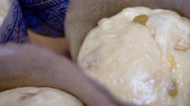 Paskalya Pastası İçin Kuru Üzümlü Maya Hamuru Kağıt Fırınlama Tabağında. Fındıklı taze tatlı hamurlar, kuru üzümler, pişirmek için hazırlanmış hamur. Bir sürü çiğ Paskalya pastası. Ekmek, hamur işi, çörek.