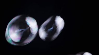 Renkli sabun köpükleri izole edilmiş siyah arka planda boş bir alanda uçuyor. Birçok gökkuşağı şeffaf kabarcıkları rastgele döner, yüzer, düşer. Bulanık hareket. Seçici odaklanma. Soyut. Oyun bitti. Yavaş çekim.