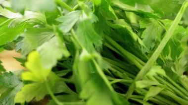 Yakın çekim, Sulu Taze Bitkiler Rotasyonu, Dill, Tahta Kesme Tahtasındaki Maydanoz. Yan görüş. Doku, ıslak yaprak detayları, seçici odaklanma. Daire şeklinde döndür. Organik yeşil arka plan. Sağlıklı yemek..