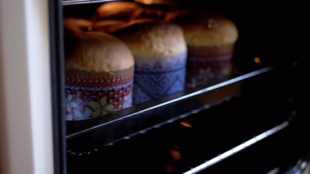 Szef Kuchni Otwiera Piekarnik Wyjmuje Dużo Rumianych Ciastek Wielkanocnych Pieczeniu — Wideo stockowe