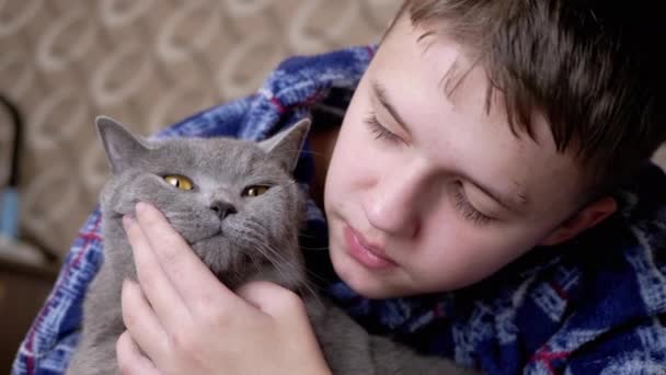 Cerca Loving Boy Hugging Kisses Gray British Fluffy Cat Room — Vídeos de Stock