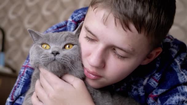 Zblízka Milující Chlapec Objímání Líbá Šedé Britské Nadýchané Kočka Místnosti — Stock video