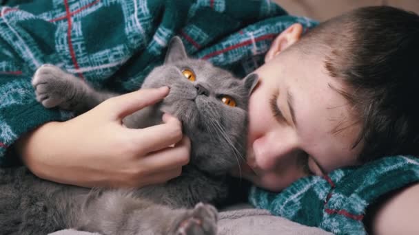 Sleepy Child Hugging Stroking Fluffy Cat Lying Bed Bedroom Close — Stock Video