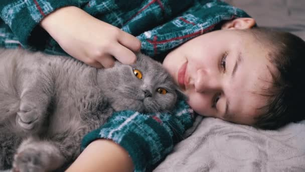 Niña Soñolienta Abrazándose Acariciando Con Gato Esponjoso Acostada Una Cama — Vídeos de Stock