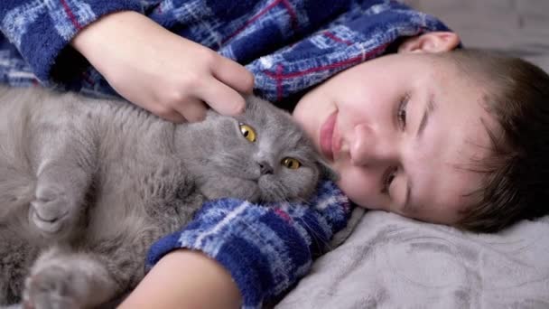 Śpiące Dziecko Przytulające Się Głaskające Puszystym Kotem Leżące Łóżku Sypialni — Wideo stockowe