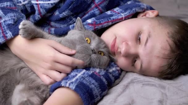 Somnolent Câlin Enfant Caressant Avec Chat Moelleux Allongé Sur Lit — Video