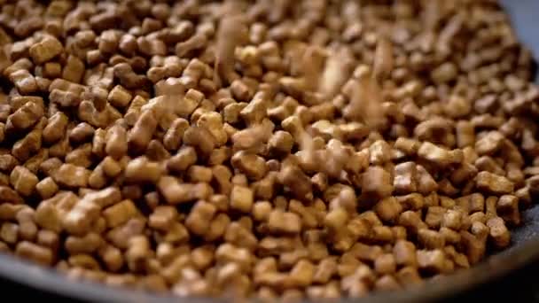 Close Granules Dry Pet Food Fall Een Stapel Droge Huisdieren — Stockvideo