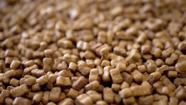Close Lot Dry Granules Dry Pet Food Rotating Background Pile — Stock Video