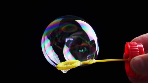 Close Hand Holds Large Rainbow Soap Bubble Bubble Ring Black — Stock Video