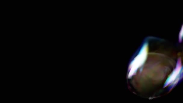 Bunte Seifenblasen Fliegen Einem Leeren Raum Auf Isoliertem Schwarzen Hintergrund — Stockvideo