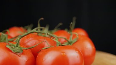 Yaklaş, Olgun Islak Kırmızı Domatesler ve Su Damlaları Kara Arkaplanda Dönüyor. Boşluk. Bir sürü yeşil dallı olgun taze domates. Yansıma, ışık, parıltı. Sebze hasadı. Makro.
