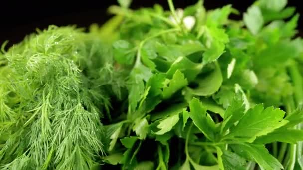 Zamknij Rotation Juicy Fresh Herbs Dill Cebula Pietruszka Desce Drewnianej — Wideo stockowe