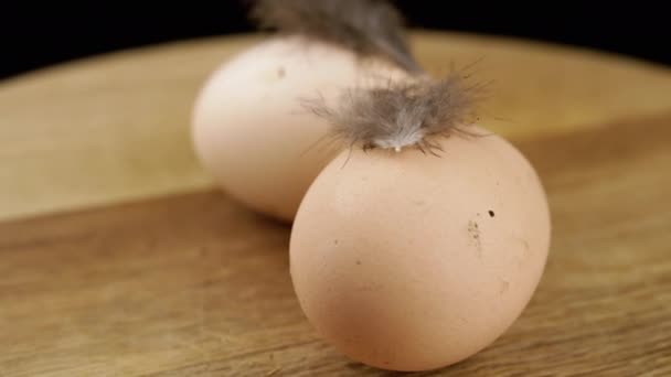 Brown Chicken Eggs Med Fjær Roterende Tredek Svart Bakgrunn Lukk – stockvideo