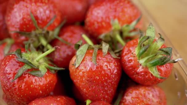 Reife Rote Erdbeeren Einer Durchsichtigen Schachtel Rotieren Auf Einem Verschwommenen — Stockvideo