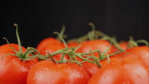 Zbliżenie Dojrzałe Czerwone Pomidory Obracające Się Czarnym Tle Rozpylanie Makro — Wideo stockowe