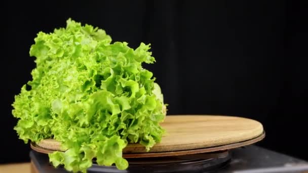 클로즈업 Juicy Green Lettuce Leaves Rotating Black Background 텍스처 나뭇잎으로 — 비디오