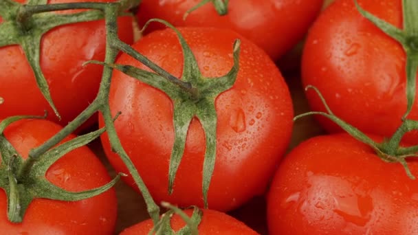 Zbliżenie Dojrzałe Świeże Czerwone Pomidory Kroplami Wody Obracać Drewnianym Tle — Wideo stockowe
