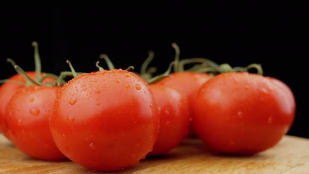 閉じます 水滴と熟しぬれた赤いトマト黒の背景に回転します 空の空間 緑の小枝と熟した新鮮なトマトがたくさんあります グレア 野菜の農場の収穫 マクロ — ストック動画