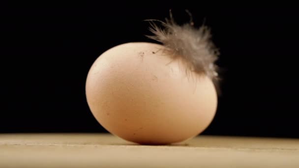 回転する木製の机の上に羽を持つ2つの茶色の鶏の卵 黒の背景 スピン コピースペース ライト 羽のついた汚い卵が動かない エコ製品 タンパク質 ぼやけた動きだ フォーカス — ストック動画