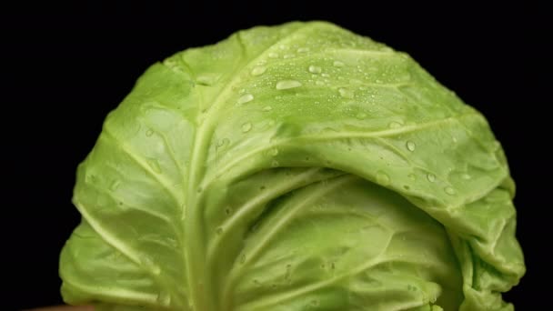 有水滴在孤立的黑色背景上旋转的卷心菜绿色头 靠近点模糊的运动 有选择的重点 纯卷心菜叶面质感 复制空间 蔬菜类 — 图库视频影像
