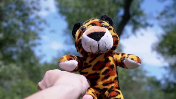 Hand Stretches Soft Toy Tiger Sun Blurred Background Nature Закрийся — стокове відео