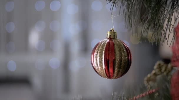 Bola Navidad Brillante Dorada Colgando Una Rama Abeto Sobre Fondo — Vídeo de stock