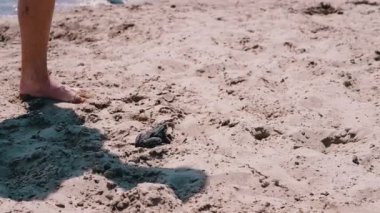 Suya yakın kumsalda zıplayan bir kurbağayla oynayan bir gencin ayakları. Korkmuş bir kurbağa kumda yükseğe zıplar. Düşen gölge. Turistler ve deniz. Bir deniz tatil köyünde dinlen. Yavaş çekim.