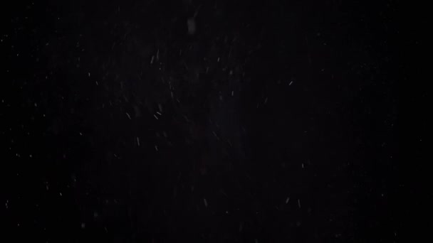 Padající Smíšené Částice Sněžení Prach Trosky Prášek Černém Pozadí Whirlpool — Stock video