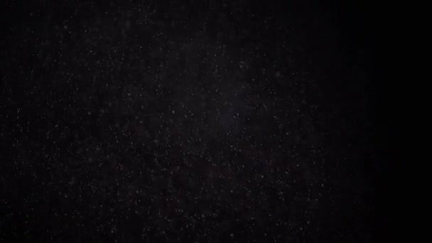 Σιγά Σιγά Πέφτει Ρεύμα Σωματιδίων Σκόνης Χιονιού Tinsel Μαύρο Φόντο — Αρχείο Βίντεο