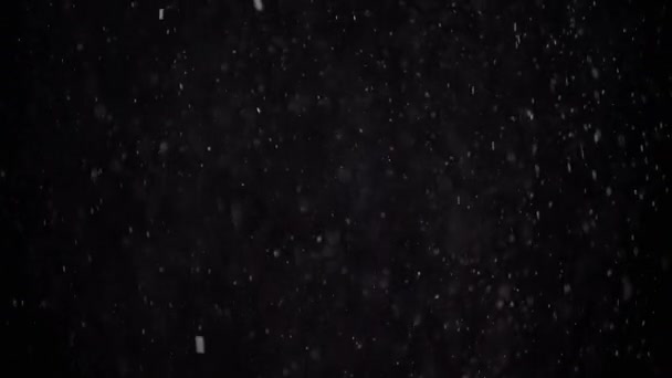 Yavaşça Düşen Toz Parçacıkları Kar Kara Arkaplan Üzerinde Tinsel Akıntısı — Stok video