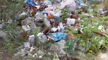 Doğadaki Ormanda Atılmış Plastik Şişeler 'i çöpe at. Çürümüş çöp, plastik torbalar ve çukurda şişeler. Çevre kirliliği. Çimen, güneş ışığı. Ekolojik felaket.