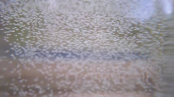 Stationära Små Bubblor Syre Vatten Glasbehållare Textur Närbild Suddig Transparent — Stockvideo