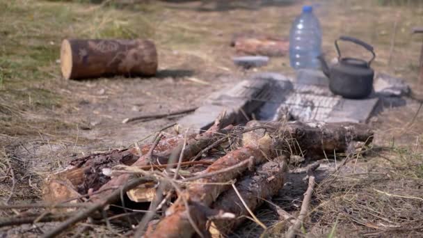 煙の炎 暖炉の輝かしい背景にある乾燥した薪の山 テクスチャ スペースをコピーする サンライト 晴れた日 火のための乾燥した木材を準備します パイン 詳細について キャンプ — ストック動画
