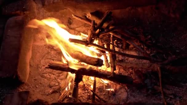 Ormandaki Yanan Kömürlü Gece Ateşinin Parlak Ateşi Duman Kuru Dallar — Stok video