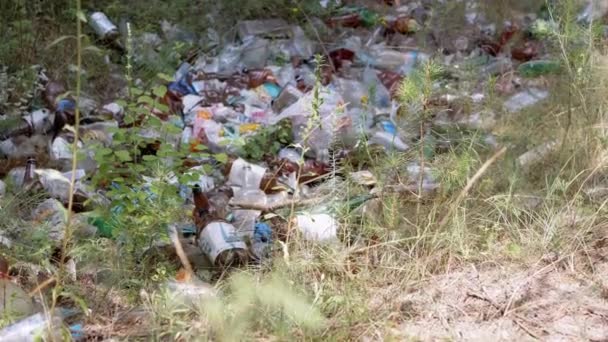 Ukraine Kamenskoe 2023 Dump Disked Plastic Bottles Forest Nature Hnijící — Stock video