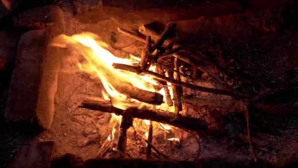 Яскраве Полум Нічного Вогню Лісі Розпеченим Вугіллям Дим Сухі Гілки — стокове відео