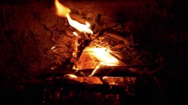 Ormandaki Yanan Kömürlü Gece Ateşinin Parlak Ateşi, Duman. Kuru dallar, sönen bir ateşte sarı bir alevle yanar. Ormanda kamp yapmak. Seyahat, turizm. Gece atmosferi. Tatiller.