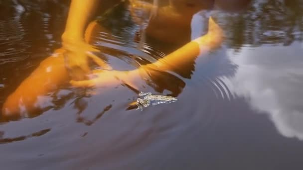 Крупным Планом Ребенок Играет Лягушкой Водой Плавая Пруду Пятнистая Лягушка — стоковое видео
