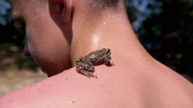 Geriye Bakış, Kaygan Yeşil Kurbağa Doğada Islak Çocuk Omuzunda Oturuyor. Kapatın. Mutlu çocuk sahilde vahşi hayatı keşfediyor. Güneşli bir gün, açık hava, dinlenme. Keşif. Tatilde. Nehirde yıkanırken.