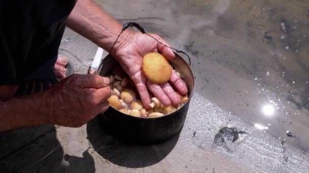Руки Пожилого Мужчины Моют Собирают Съедобные Грибы Горшке Берегу Реки — стоковое видео