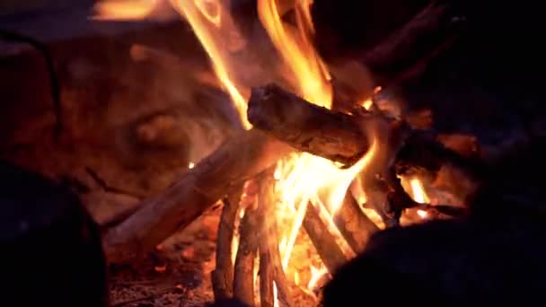 Helle Flamme Eines Nächtlichen Feuers Wald Mit Glimmenden Kohlen Rauch — Stockvideo