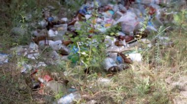 Doğadaki Ormanda Atılmış Plastik Şişeler 'i çöpe at. Çürümüş çöp, plastik torbalar ve çukurda şişeler. Çevre kirliliği. Çimen, güneş ışığı. Ekolojik felaket.