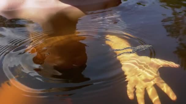 Zamknij Się Dziecko Bawiące Się Żabą Pod Wodą Podczas Pływania — Wideo stockowe