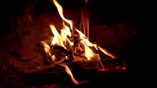 Světlý Plamen Nočního Ohně Lese Doutnajícími Uhlíky Kouř Suché Větve — Stock video