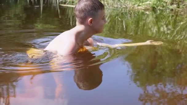 微笑的男孩在池塘里游泳 抓起青蛙 在阳光下玩水 好奇快乐的孩子在海滩上探索野生动物 阳光灿烂的日子 户外娱乐活动 发现者号度假 在河里洗澡 — 图库视频影像