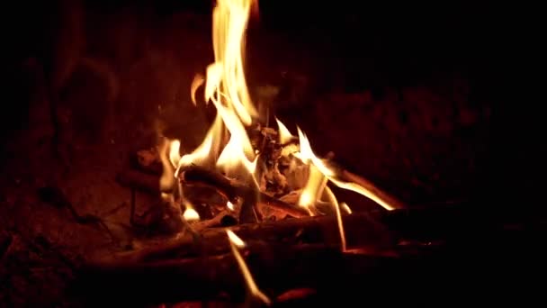 Jasny Płomień Nocnego Ognia Lesie Smoldering Coals Smoke Suche Gałęzie — Wideo stockowe
