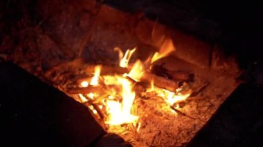 Ormandaki Yanan Kömürlü Gece Ateşinin Parlak Ateşi, Duman. Kuru dallar, sönen bir ateşte sarı bir alevle yanar. Ormanda kamp yapmak. Seyahat, turizm. Gece atmosferi. Tatiller.