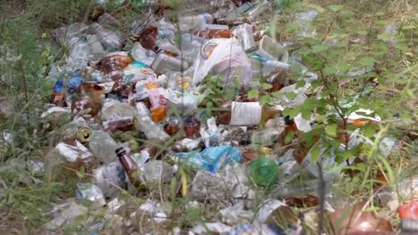 Ucrania Kamenskoe 2023 Dump Discarded Plastic Bottles Forest Nature Basura — Vídeos de Stock